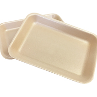 R2N NATURE TRAY COMPOSTABLE, 8.3&quot;X5.75&quot;X1&quot;, BROWN (500/CS)